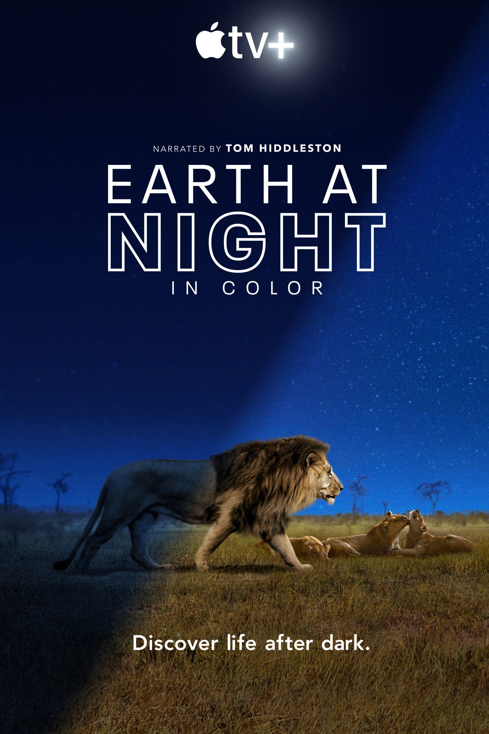 مشاهدة مسلسل Earth at Night in Color موسم 1 حلقة 1 (2020)