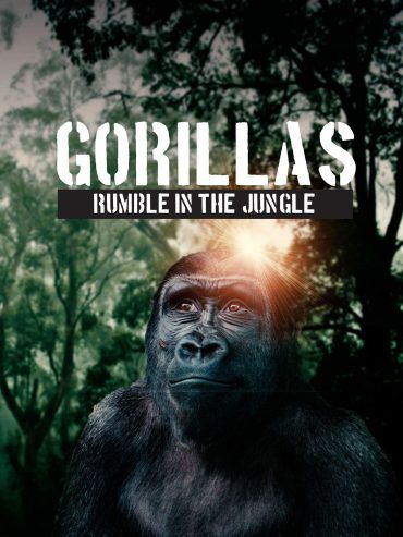 مشاهدة فيلم Gorillas: Rumble in the Jungle 2020 مترجم (2020)