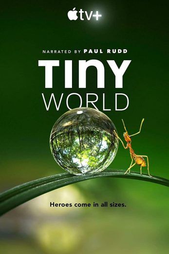 مشاهدة مسلسل Tiny World موسم 1 حلقة 2 (2020)